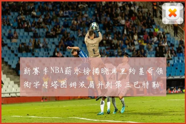 新赛季NBA薪水榜揭晓库里约基奇领衔字母塔图姆浓眉并列第三巴特勒排名第十