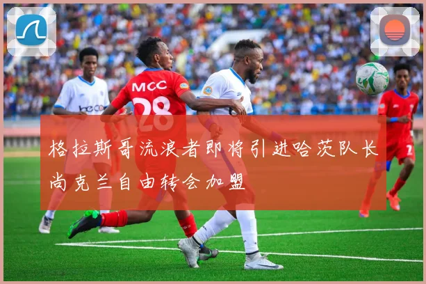格拉斯哥流浪者即将引进哈茨队长尚克兰自由转会加盟