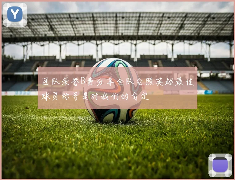 团队荣誉B费分享全队合照英超最佳球员称号是对我们的肯定